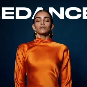 SEEDANCE 2 MINI
